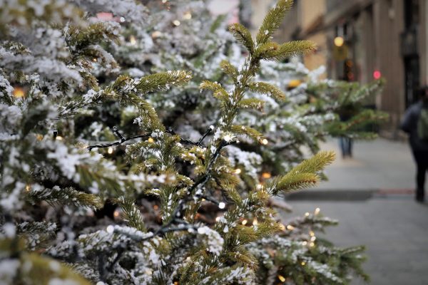 Christmas Opening Times 2024