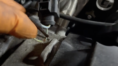 audi a4 rat chewed cables